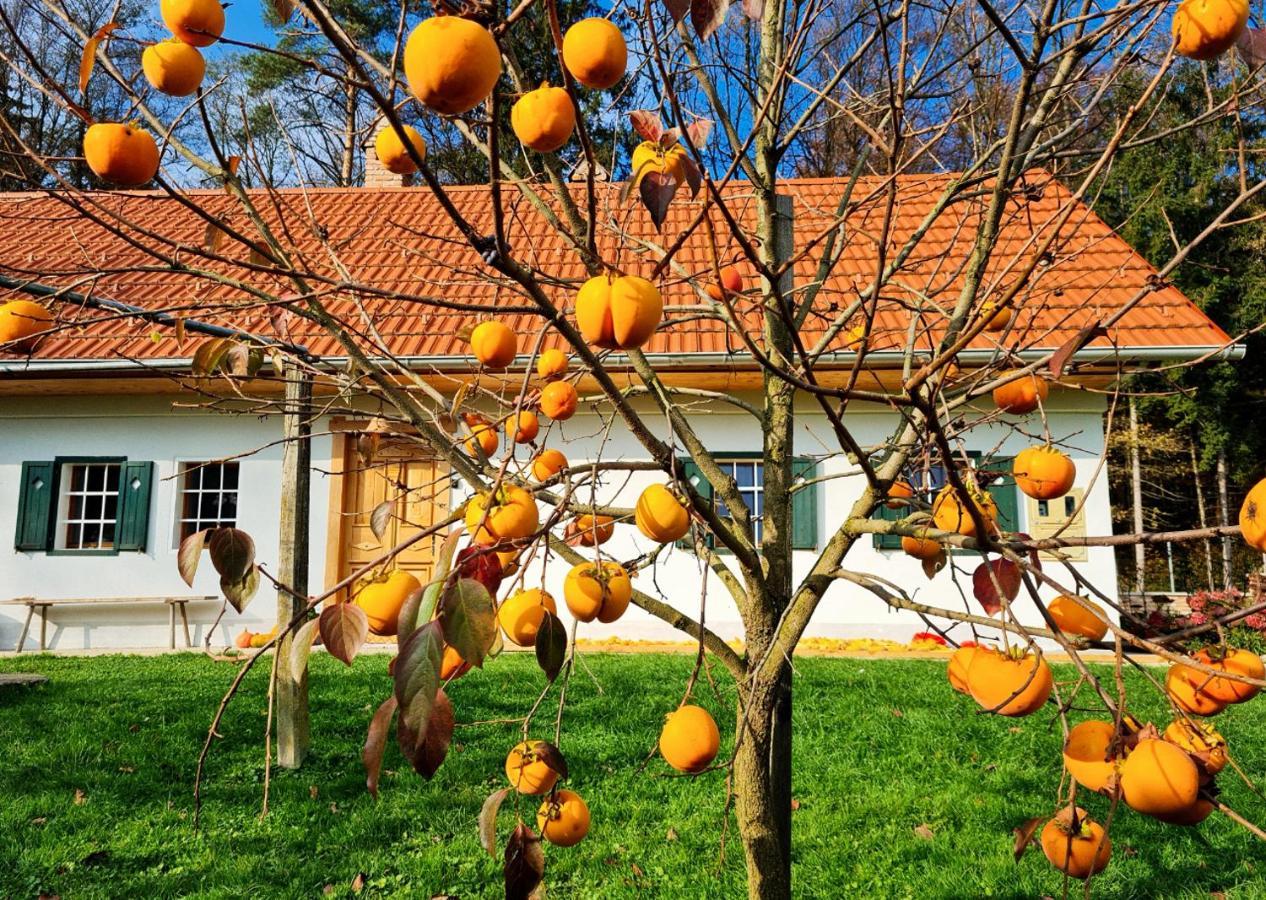 Вилла Turisticna Kmetija Hisa Ob Gozdu Pri Ptuju Экстерьер фото